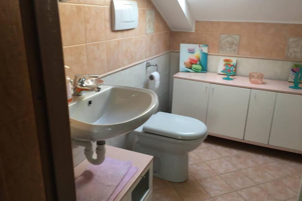 Appartamento Villa Rita A 100 M Dal Mare! Vallecrosia Ngoại thất bức ảnh